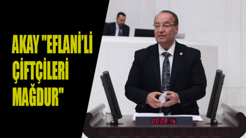 AKAY “EFLANİ’Lİ ÇİFTÇİLERİ MAĞDUR”