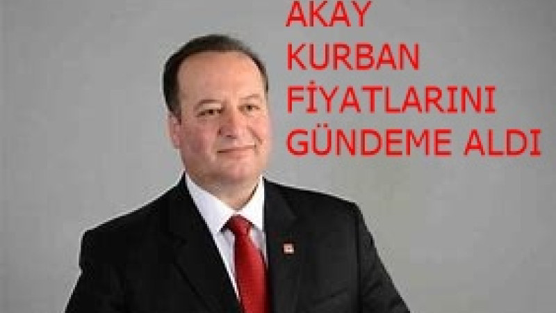 KURBANLIK HAYVAN FİYATI, 2 YILDA YÜZDE 566 ARTTI