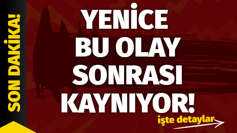 YENİCEDE NELER OLUYOR ?