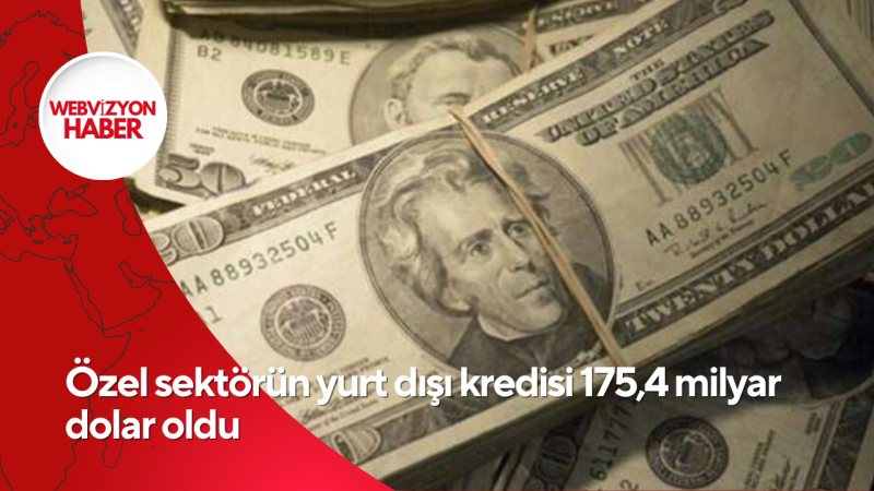 Özel sektörün yurt dışı kredisi 175,4 milyar dolar oldu