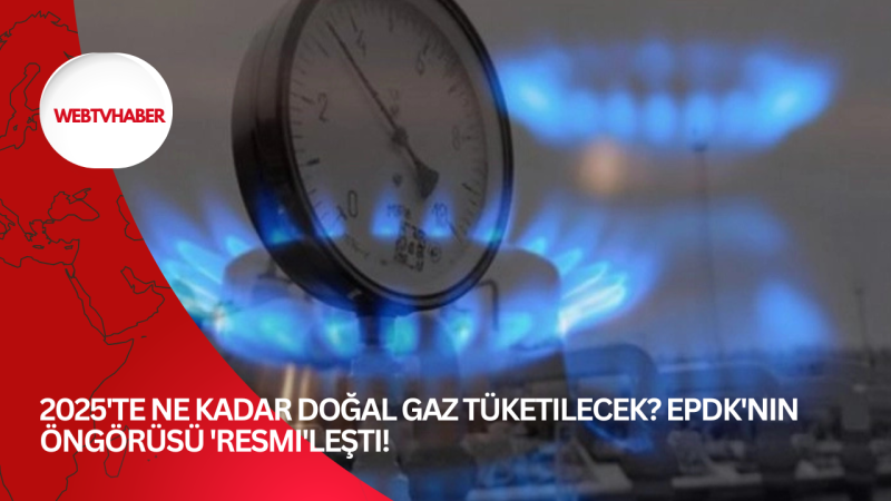 2025'te ne kadar doğal gaz tüketilecek? EPDK'nın öngörüsü 'Resmi'leşti!