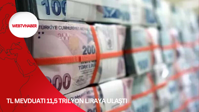 TL mevduatı 11,5 trilyon liraya ulaştı