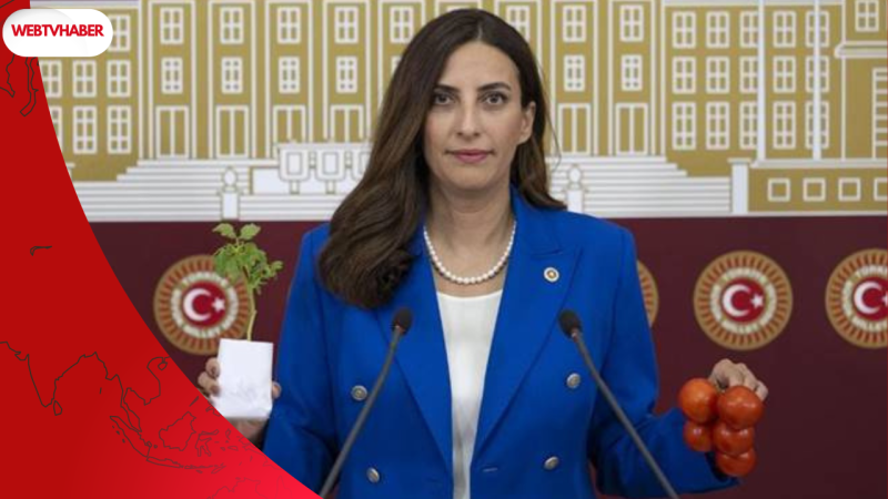 Tarım Bakanı’na pestisit uyarısı:  