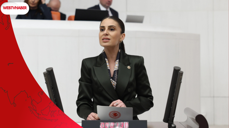 CHP'li Özcan'dan Muğla'da taşınmaz satışlarına sert tepki!